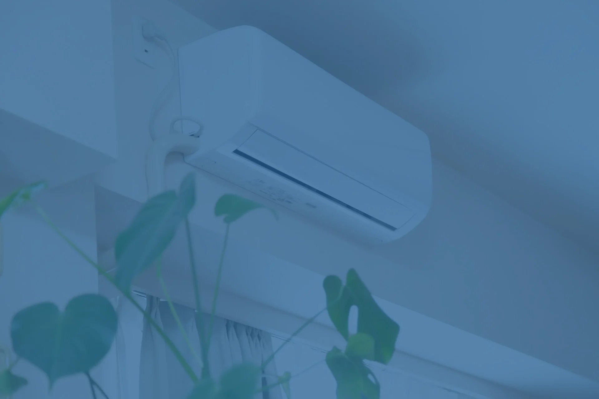 Air conditioning unit mounted on wall above green potted plants with blue-tinted lighting